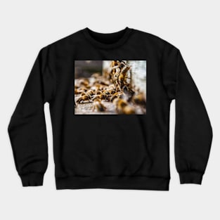 Beehive entrance Crewneck Sweatshirt